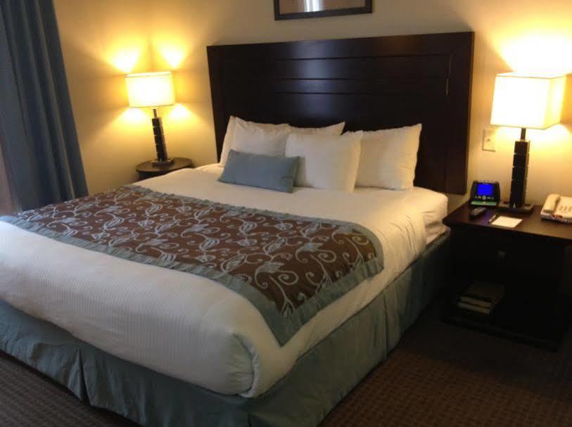 Wingate By Wyndham New Braunfels Hotel Eksteriør billede